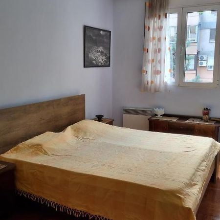 Apartment Z Podgorica Bagian luar foto